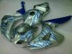Cheapest 2006-2007 Blue Flame Silver Honda CBR1000RR Motorcycle Fairing Kits UK Cheapest 2006-2007 Blue Flame Silver Honda CBR1000RR Motorcycle Fairing Kits UK